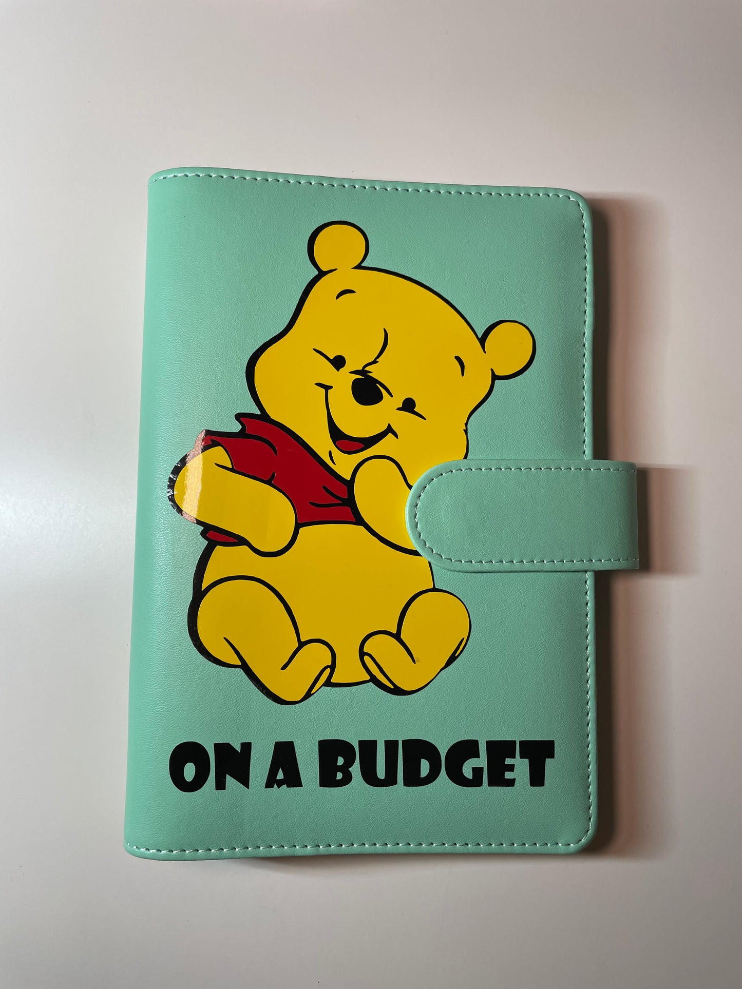Budget Planner in Pooh Matte Green